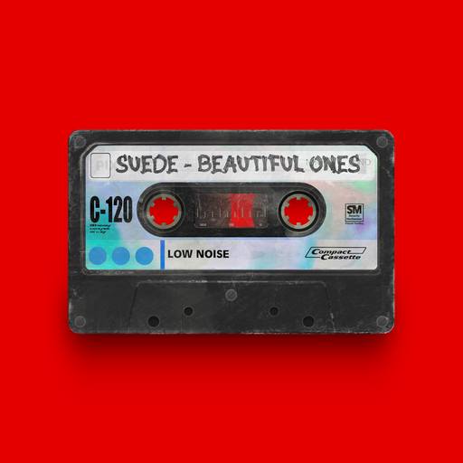 02664 - Suede - Beautiful Ones